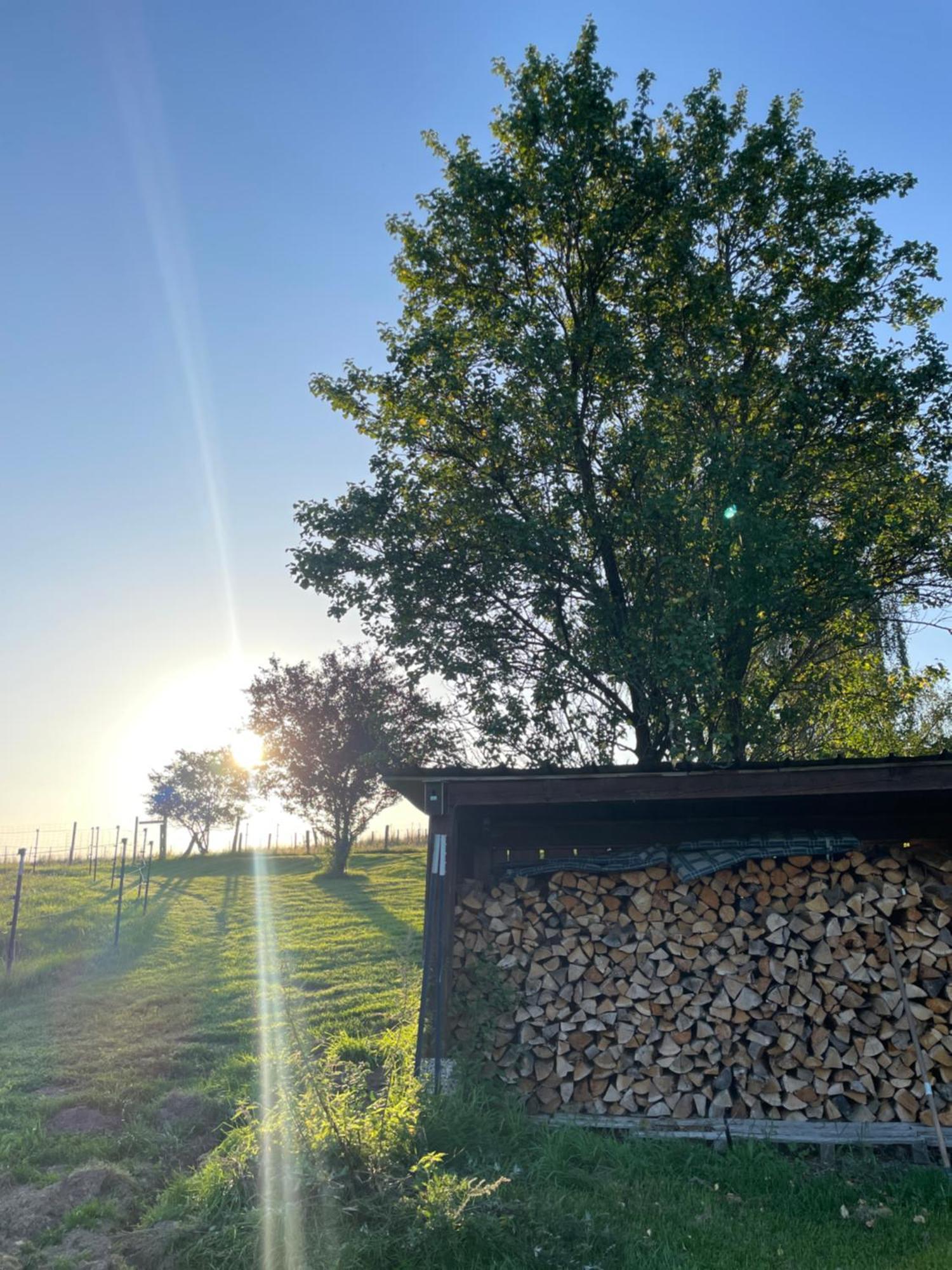 Auszeit Altenhorst, Gartenferienwohnung Schalksmuhle Luaran gambar