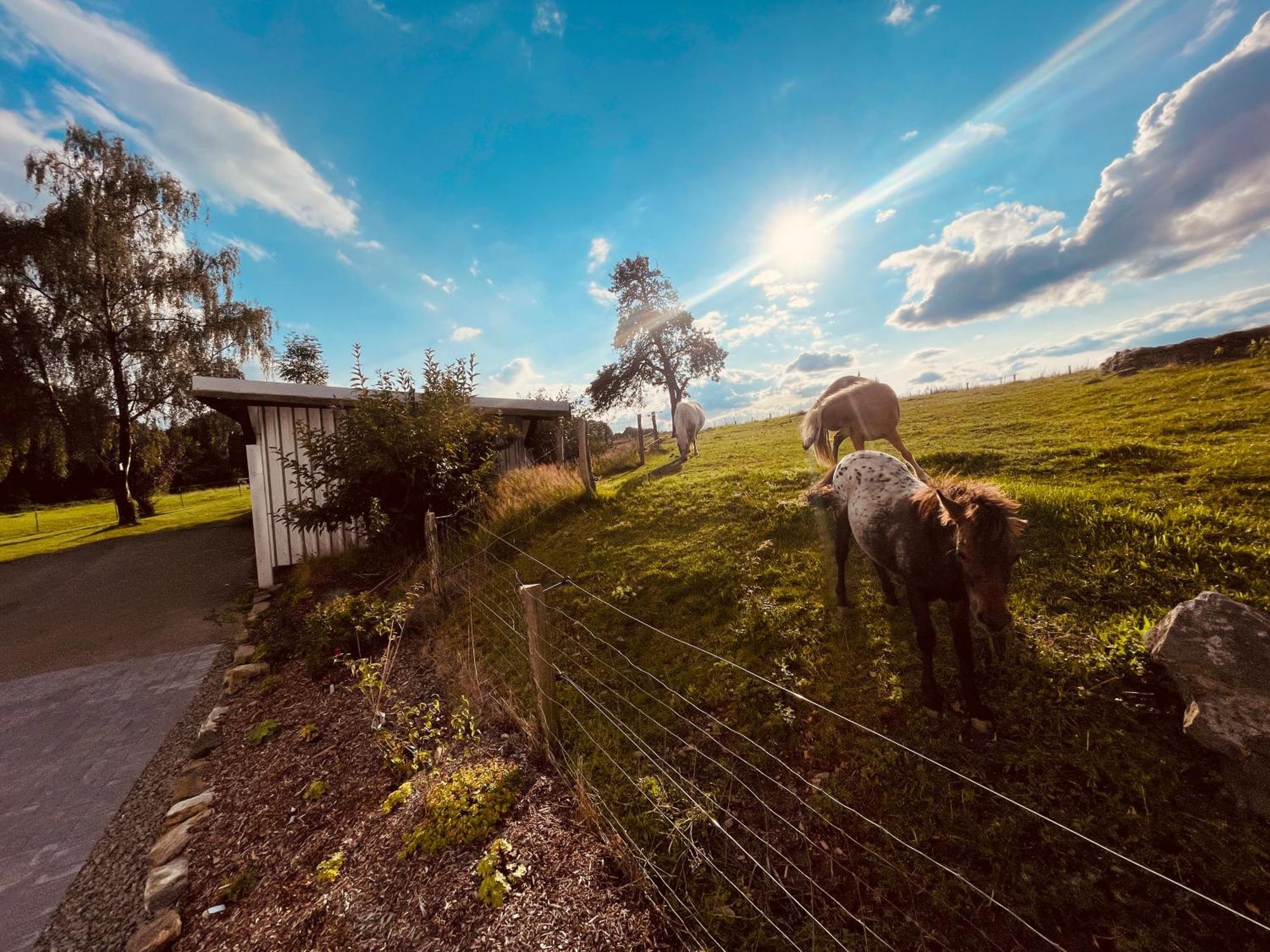 Auszeit Altenhorst, Gartenferienwohnung Schalksmuhle Luaran gambar